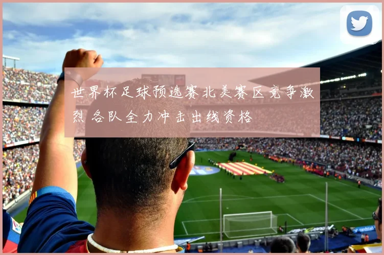 世界杯足球预选赛北美赛区竞争激烈 各队全力冲击出线资格