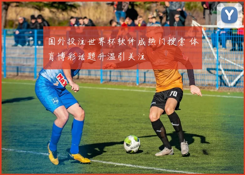 国外投注世界杯软件成热门搜索 体育博彩话题升温引关注
