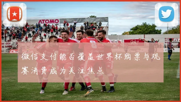 微信支付能否覆盖世界杯购票与观赛消费成为关注焦点
