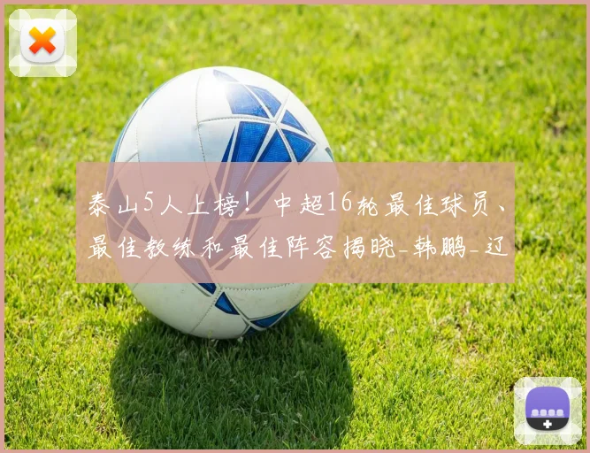 泰山5人上榜！中超16轮最佳球员、最佳教练和最佳阵容揭晓_韩鹏_辽宁_客场