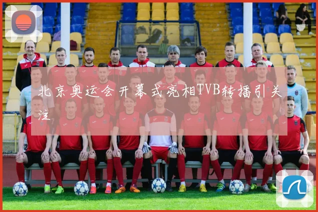 北京奥运会开幕式亮相TVB转播引关注