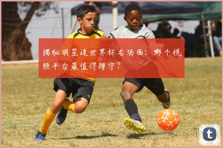 揭秘明星追世界杯名场面：哪个视频平台最值得蹲守？