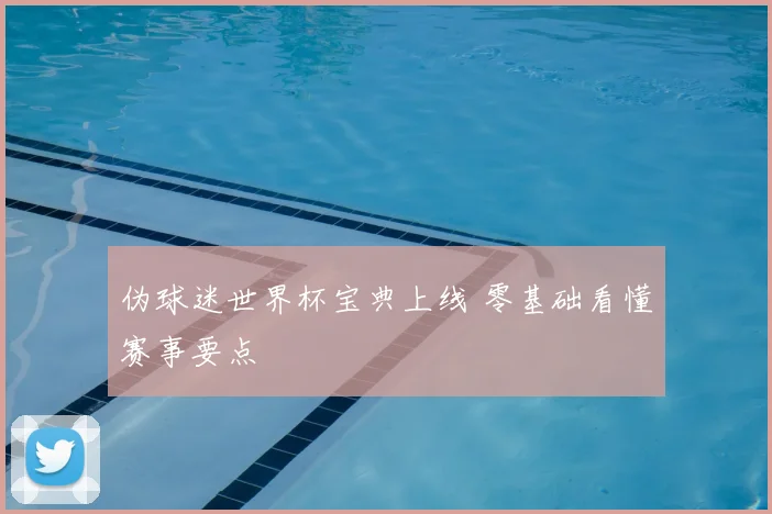 伪球迷世界杯宝典上线 零基础看懂赛事要点